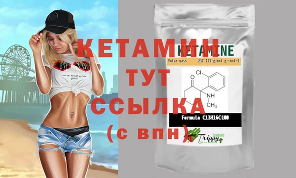 шишки Армянск