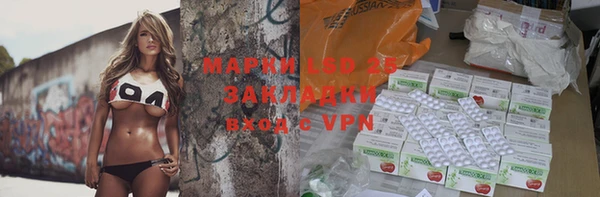 PSILOCYBIN Аркадак