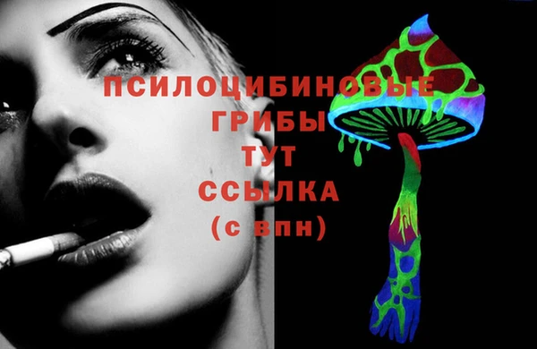 шишки Армянск