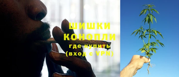 шишки Армянск