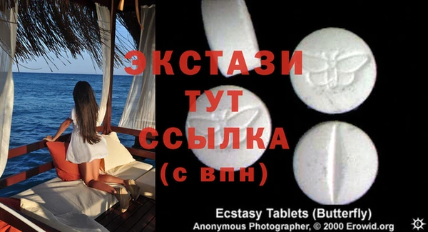 PSILOCYBIN Аркадак